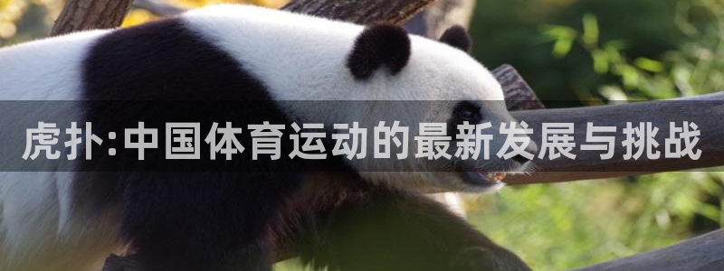 关键词