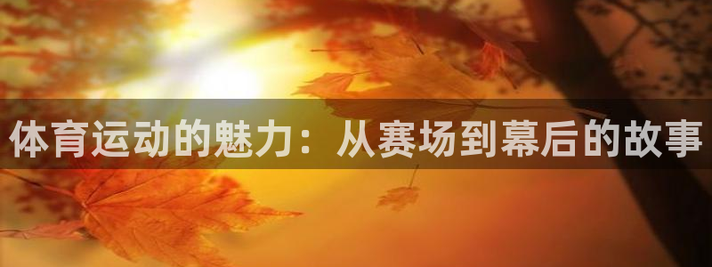 风暴体育入口
