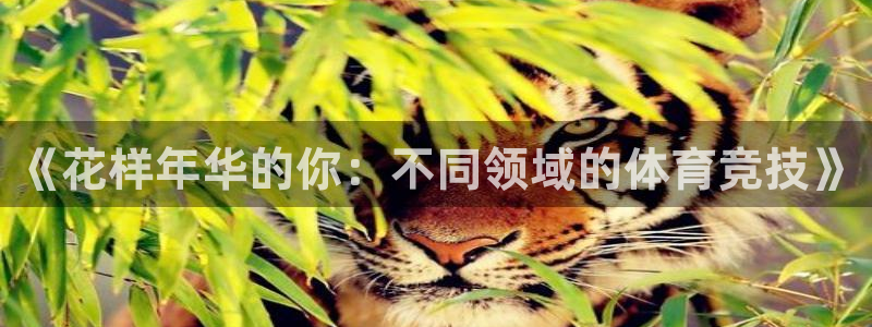 风暴体育苹果下载安装教程