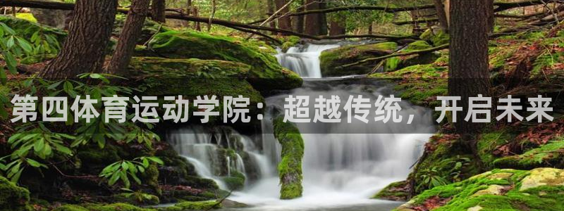 风暴体育篮球直播：第四体育运动学院：超越传统，开启未来
